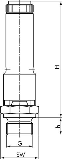 TÜV-Sicherheitsventil G 1/4" (DN8), 0,50 bar, Messing