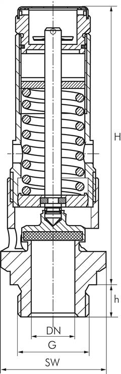 TÜV-Hochleist.-Sicherheitsventil G 3/4"(0,5bar) Messing